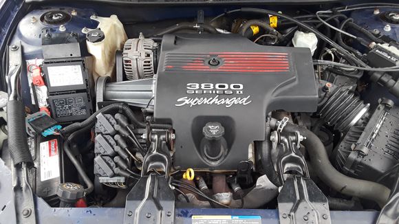 Clean motor