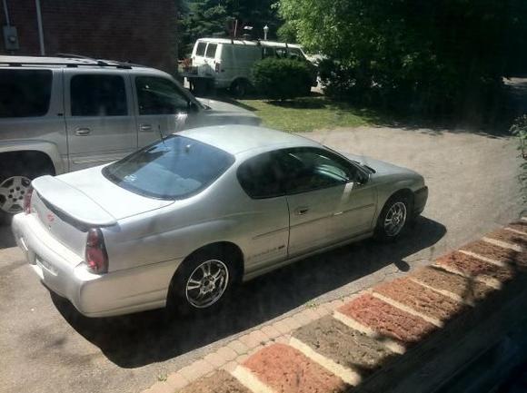 July 1st 2011 - the day she came home
