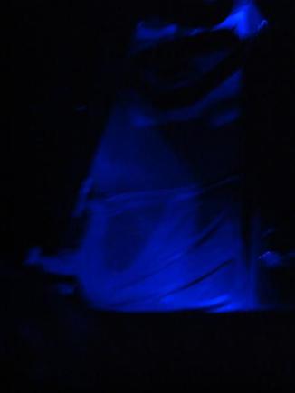 multifunction neon lights in the rig