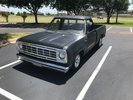 1974 D100