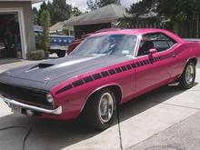 pink aar cuda
