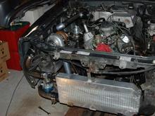 DDFoxbody4
