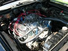 DSCN0006
 Not bad for 6 years of sitting.