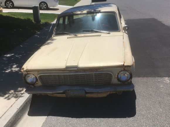 Just a little loving needed (diamond in the ruff)