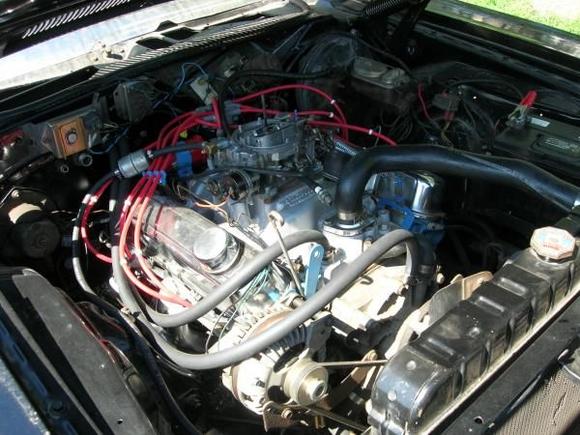 DSCN0006
 Not bad for 6 years of sitting.