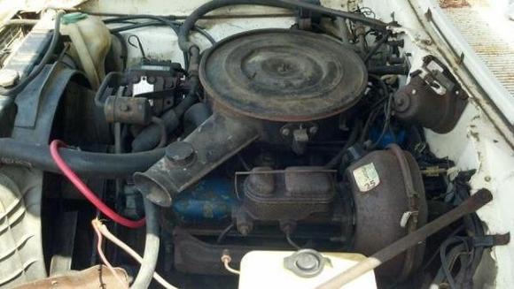 483301 448562121832629 218069681 n