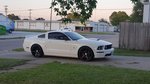 08 GT