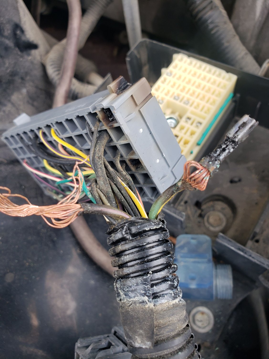Fan Relay Melted Fuse Block an Contactors