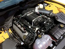 Roush says 670 H.P. for legal purposes -  Dyno says more!