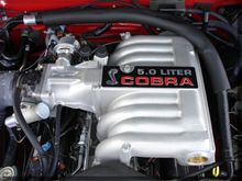 Real Cobra Intake