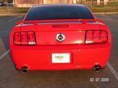 '06 Mustang 4