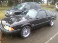 My 91 Mustang