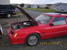1982/2006 GT Mustangs