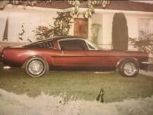 1965 Mustang Fastback 2 2