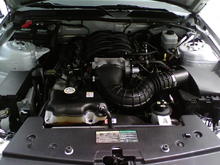 Mustang Engine