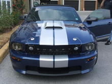 Shelby Grille