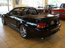 Here she is in the dealer showroom with the top down...unfortunately they pulled that boot cover off the 440A Roush Mustang there, but it doesn't really match anyways.  I'm on the lookout for a black boot cover.