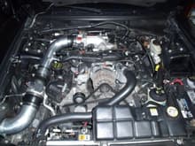 cold air intake with throttle body and plenum installed...