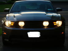 2010 Mustang 5