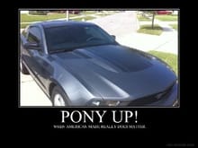Pony Up 2