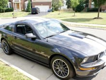 My First Mustang in 19 Years