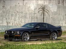 2006Mustang GT HDR 1 rs