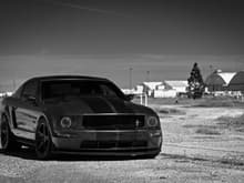 The Stang