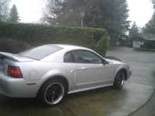 the stang