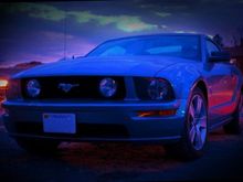 stang2