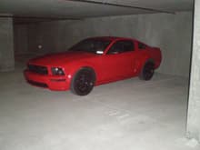 my stang