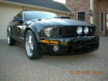 Mustang GT 08 080602 019 (12)