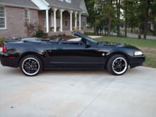 Mustang 5