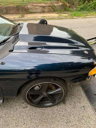 Massive fiber glass hood 