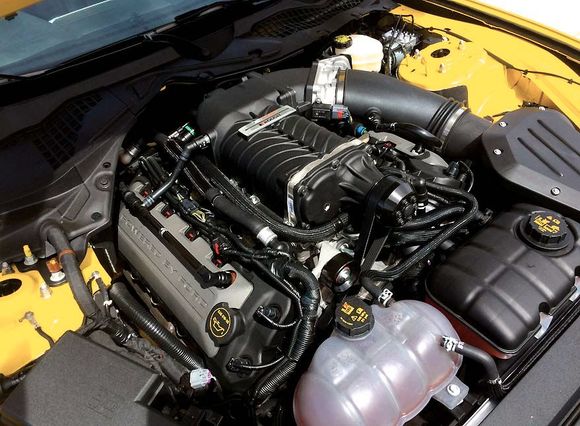Roush says 670 H.P. for legal purposes -  Dyno says more!