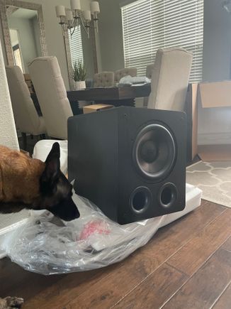 Holy shit this thing is huge 