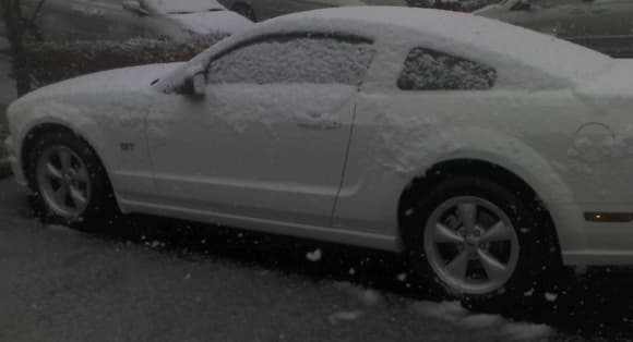 first snow, it's fun to drive stang in a slushy
