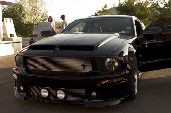 Mustang 011