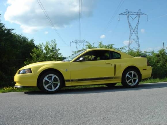 Zinc yellow 2003 Mach1