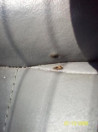 Cigarette Burns in Rear Seat