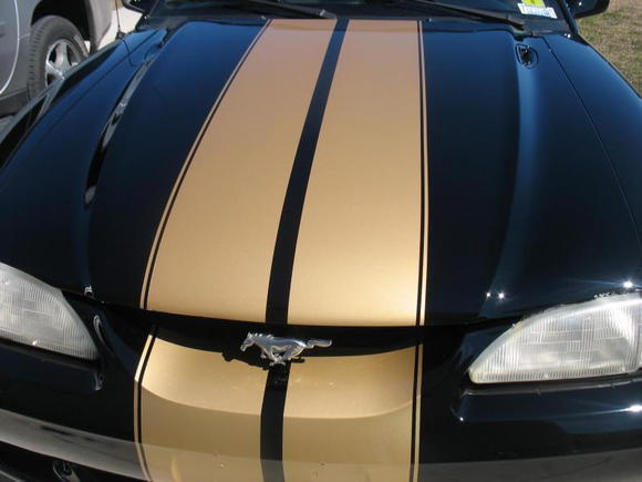 Mustang hood stripes