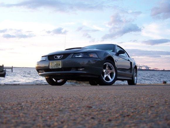 brought the stang to school with me for the first time, at the docks next to the sailing building.
