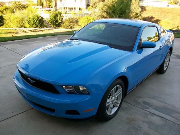 Mustang 0221
