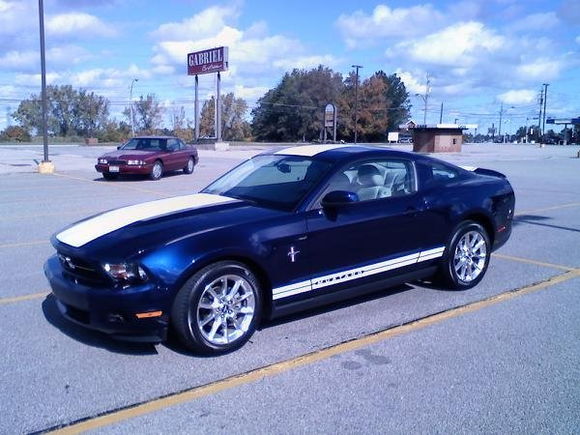 2010 Mustang Striped