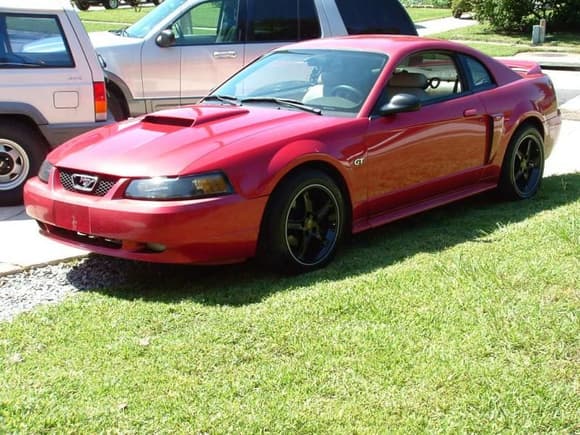 Mustang020