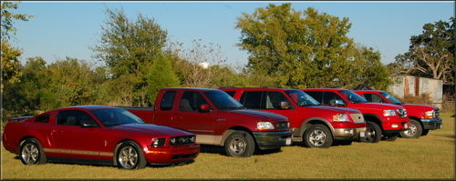 Lined up the whole family!
06 Mustang (mine)
97 F-150 (brother; formerly mine)
0? Expedition (Mom)
04 F-150 (Dad - his &quot;leisure truck&quot; lol)
00 F-250 (Dad - work truck)
