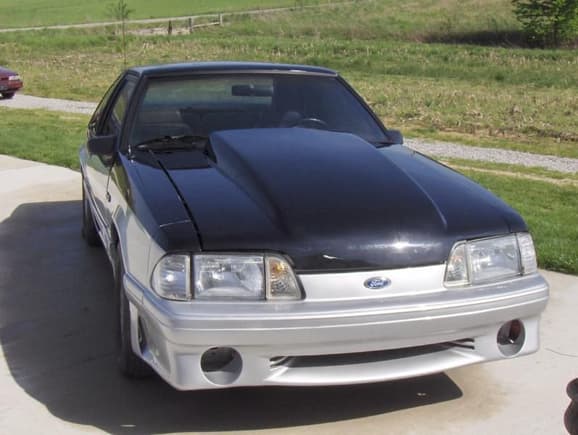Mustang 003