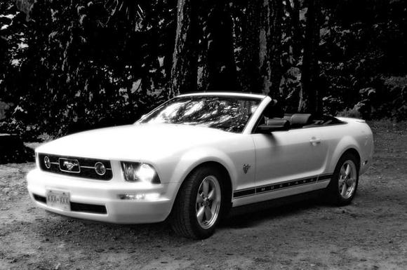 At Georgia Beach Gibsons BC