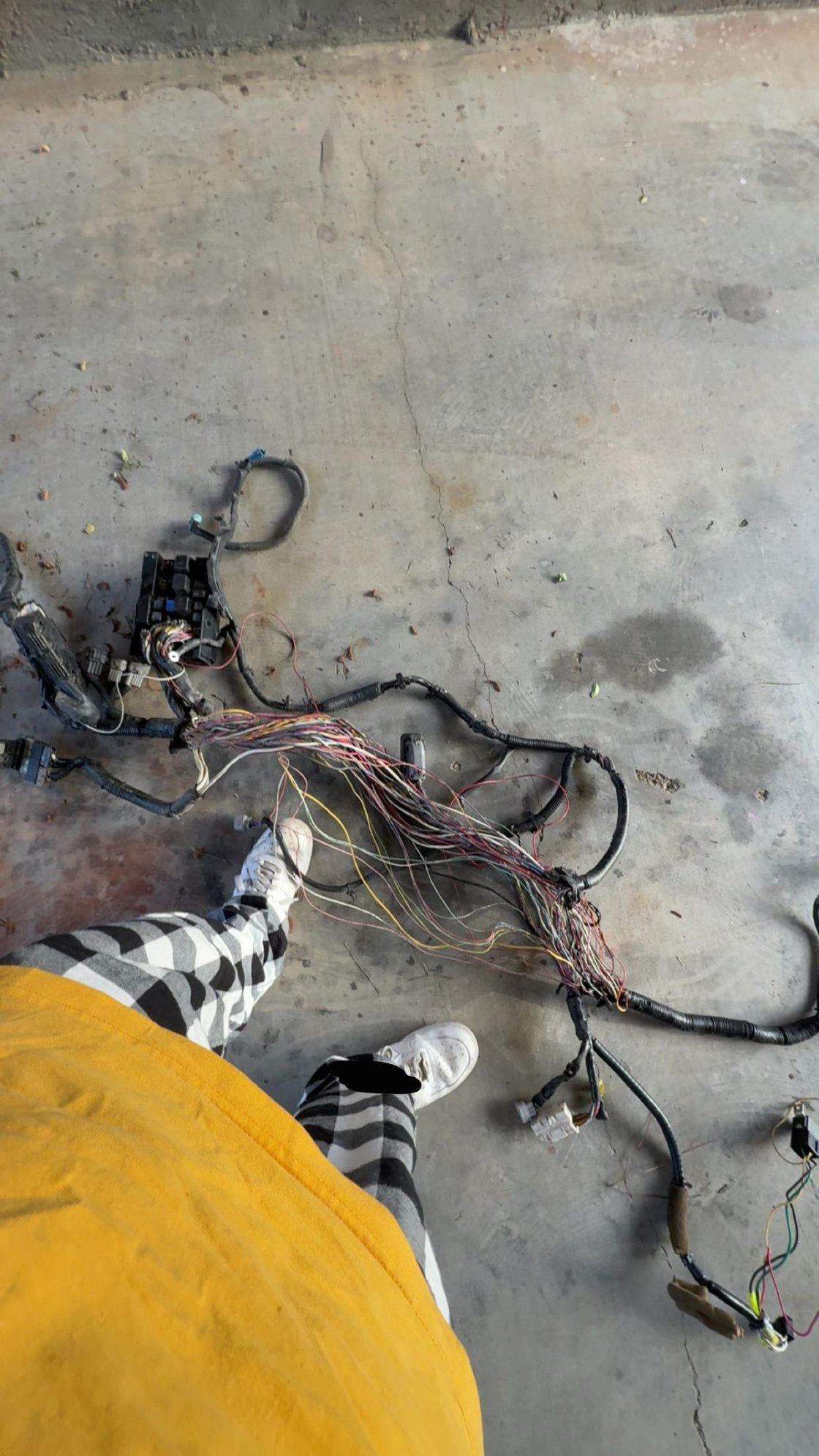 picture of old harness out of car 🥲