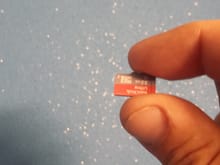 Micro SD card vs my gorilla fingers
