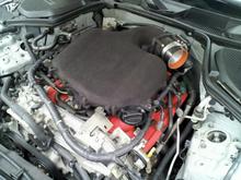 DIY upper and lower